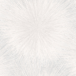 NA8743-21