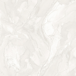 NA8950-21