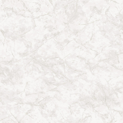 NA8961-21