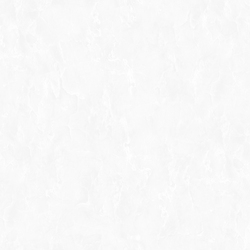 NA8981-21