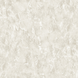 NA8981-22