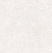 IN5006-91
